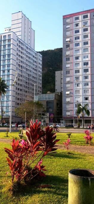 Appartement Apartamento Studio Itarare à São Vicente Extérieur photo